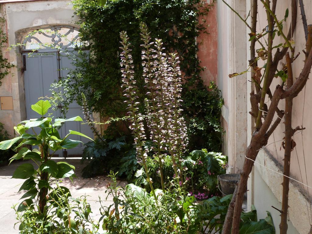 Bed and Breakfast Maison Arriu Montaut  Exteriér fotografie